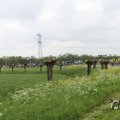 IMG_1011721