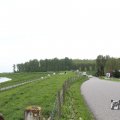 IMG_1011755