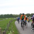 IMG_1011781
