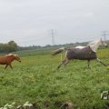 IMG_1011807