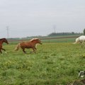 IMG_1011810