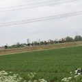 IMG_1011818