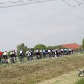 IMG_1011823