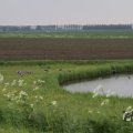 IMG_1009821