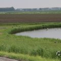 IMG_1009822