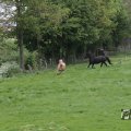 IMG_1009941