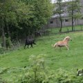 IMG_1009942