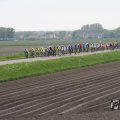 IMG_1011131