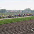 IMG_1011132