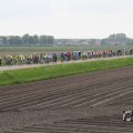IMG_1011133
