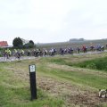 IMG_1011138