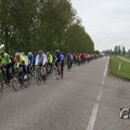 IMG_1011239