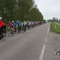 IMG_1011241