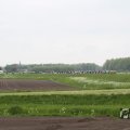 IMG_1011390