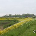 IMG_1011399