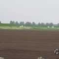 IMG_1011439