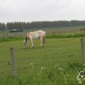 IMG_1010633