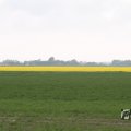 IMG_1010722