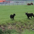 IMG_1010724