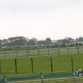 IMG_1010730