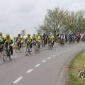 IMG_1011015