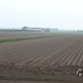 IMG_1010193