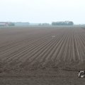 IMG_1010194