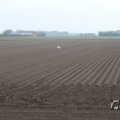 IMG_1010195