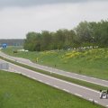 IMG_1010238