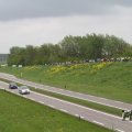 IMG_1010241