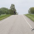 IMG_1010287