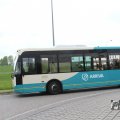 IMG_1010366