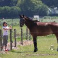 IMG_415499