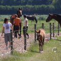 IMG_415507