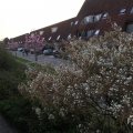 IMG_991575