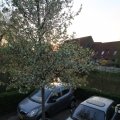 IMG_991577