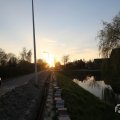 IMG_991584