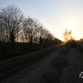 IMG_991585