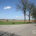 IMG_993301