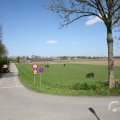 IMG_993302