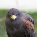IMG_1020234