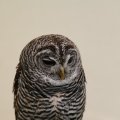 IMG_1020247