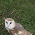 IMG_1020250