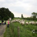 IMG_1020502