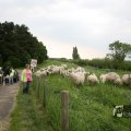 IMG_1020504