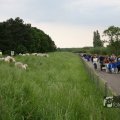 IMG_1020613