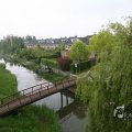 IMG_1021061