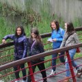 IMG_1021241