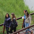 IMG_1021245