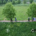 IMG_1021252